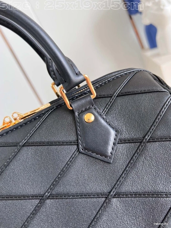 25 Vuitton SPEEDY Louis 0324